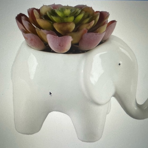 Mainstays Other - Artificial faux succulent plant